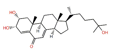 Diaulusterol B